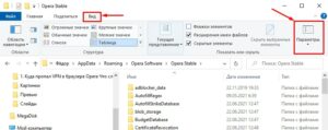 Проводник - Вид - Параметры