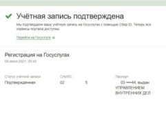 Учетная запись подтверждена (Госуслуги)