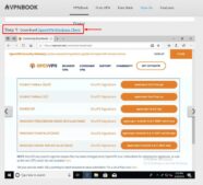 Скачать OpenVPN Windows Client