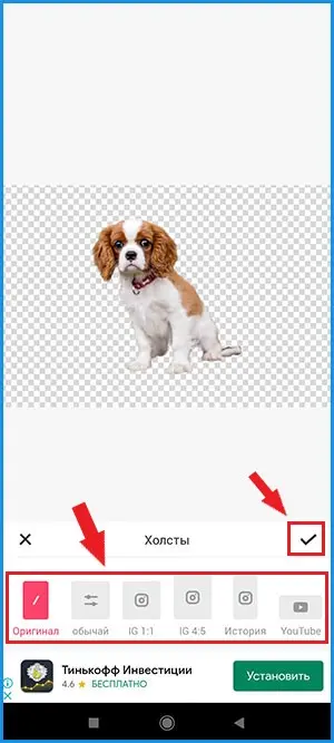 Выбор формата изображения при удалении фона на телефоне